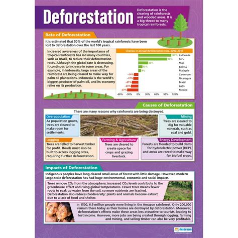 Deforestation Poster - Daydream Education