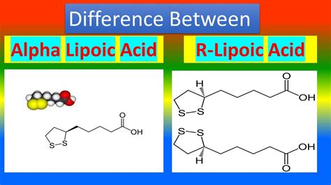 Alpha Lipoic Acid vs R Lipoic Acid: Differences Explained