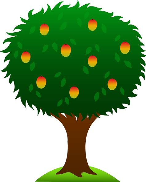 Mango Tree With Ripe Fruits - Free Clip Art