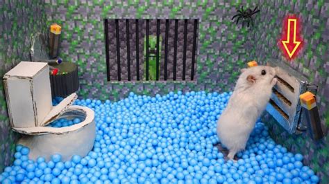 Hamster Escapes The Awesome Minecraft Maze With Underwater Obstacle Course