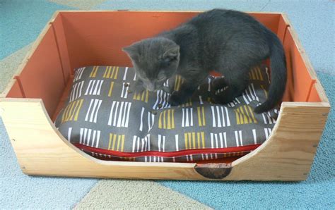 A Cat Bed for Wonderpaws