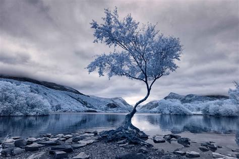 Stunning Winning Entries from 1st Annual Infrared Photography Contest