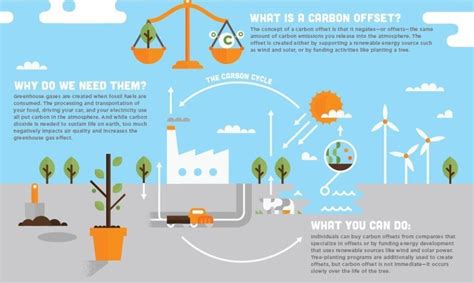 What is carbon offsetting? | World Economic Forum