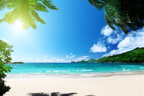 beach, Summer, Palms, Ocean, Tropical, Paradise, Sea, Sunshine ...