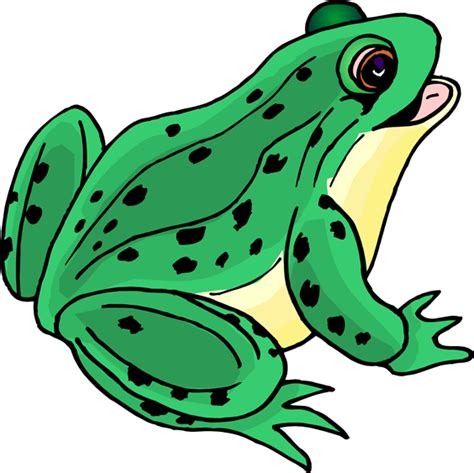 Free frog clipart clip art pictures graphics illustrations – Clipartix