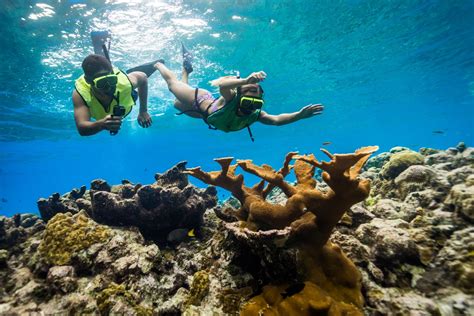 Snorkeling Coral Reef