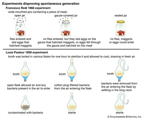 Scientific hypothesis | Definition, Formulation, & Example | Britannica