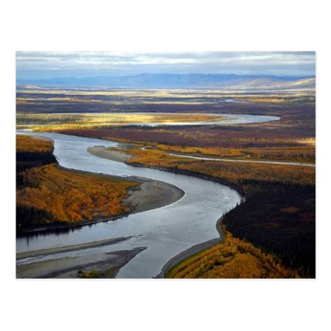 Koyukuk river postcard | Zazzle