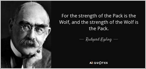 TOP 13 WOLF PACKS QUOTES | A-Z Quotes