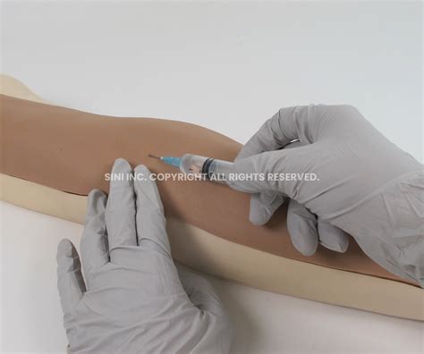 Intravenous Injection Arm Trainer - SINI Medical Simulation