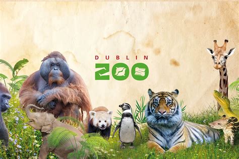 “Dublin Zoo” ~ a report by Ryan (6th) | 6th Class