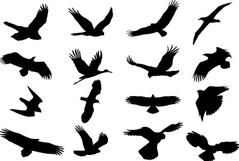 Birds Silhouette Vector Set Free Vector cdr Download - 3axis.co