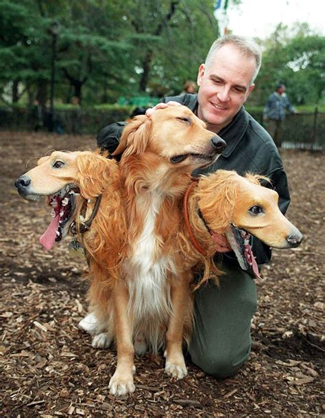 Cerberus Dogs: Funny Three-Headed Dog Halloween Costume