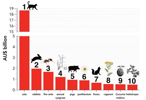 The price of pests: Australia's $390 billion invasive species bill