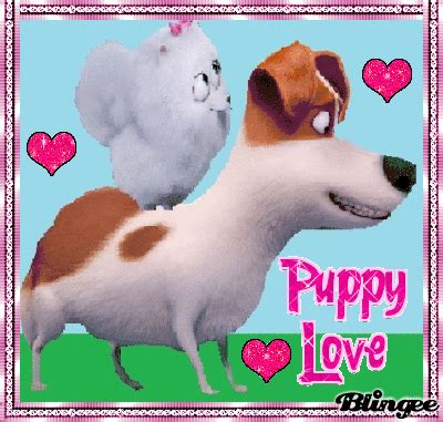 Max x Gidget Picture #136588697 | Blingee.com