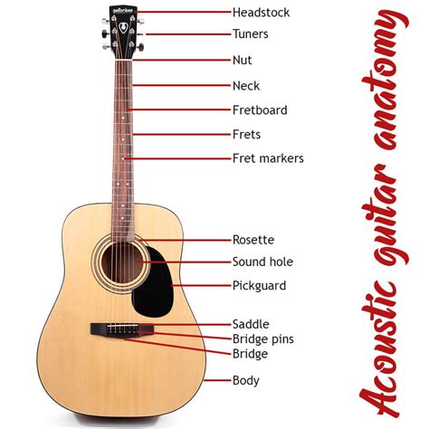 Can you name the parts of an acoustic guitar? - guitariano.com