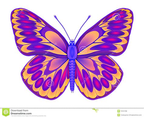 Butterfly Drawing Color at GetDrawings | Free download