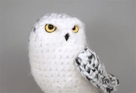 Snowy Owl | Owl crochet patterns, Owl crochet pattern free, Crochet birds