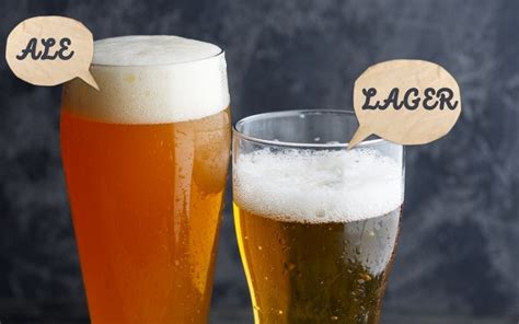 Ale Vs. Lager: Which Beer Is Perfect For You? – Advanced Mixology