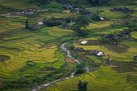 5 best places to see Sapa rice fields in 2024 & best season