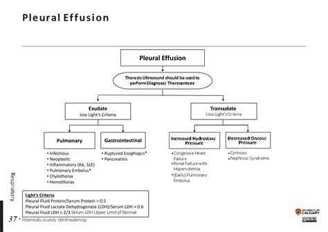 PLEURAL EFFUSION - Blackbook : Blackbook