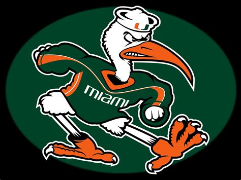 🔥 [50+] University of Miami Football Wallpapers | WallpaperSafari