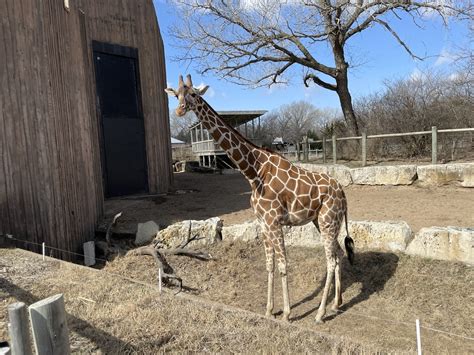 A visual guide to visiting the Sedgwick County Zoo | Wichita By E.B.