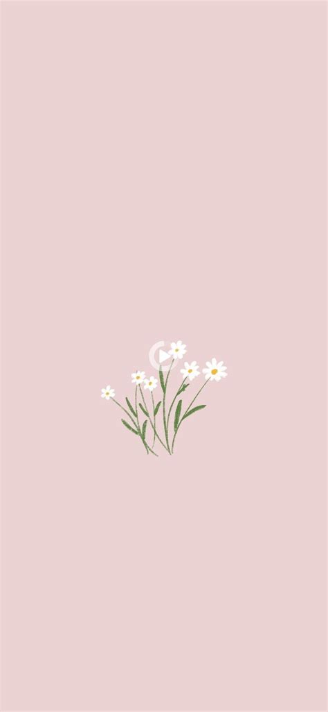 🔥 [40+] Aesthetic Flowers Simple Wallpapers | WallpaperSafari