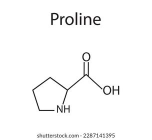 Proline Amino Acid Formula Structure Chemical Stock Vector (Royalty ...