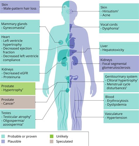 Women On Steroids Side Effects