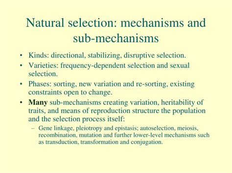 PPT - Function and Organization: Comparing the mechanisms of protein ...