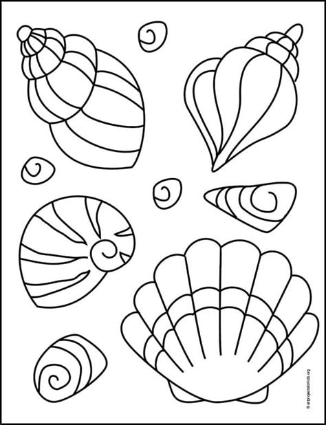 Easy How to Draw a Sea Shell Tutorial and Sea Shell Coloring Page