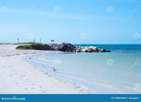 Florida palm harbor beach stock photo. Image of nature - 140826998