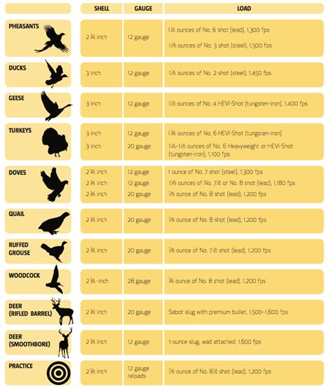 Accessible Hunter: Picking The Correct Shot Size For Your Shotgun