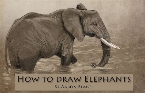 Elephant Drawing Packet - The Art of Aaron Blaise