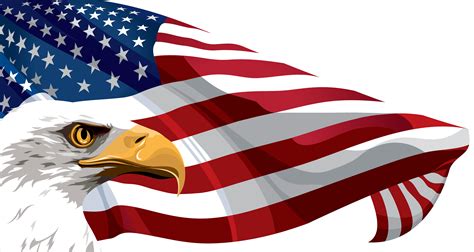 Flag of the United States Clip art - American Flag and Eagle ...