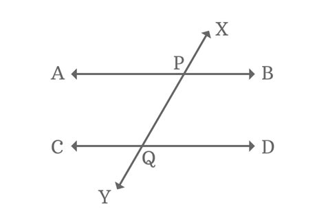 Alternate Interior Angles by Parallel Lines and a transversal