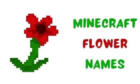 {1000+} » Minecraft Flower Names » [ Funny + Unique + Famous ]