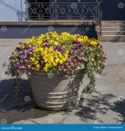 Outdoor white ceramic vase stock photo. Image of head - 281108348