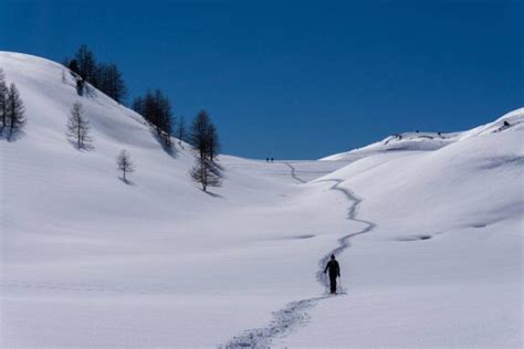 Alps Hiking Tours: again and again! - Trekking Alps