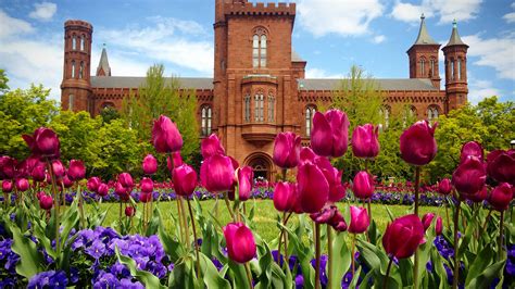 Smithsonian Gardens Digital Backgrounds - Smithsonian Gardens