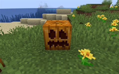 Pumpkin Minecraft