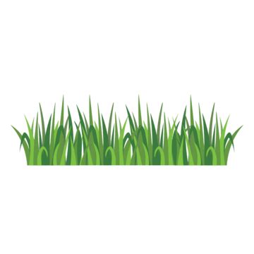 Green Grass, Garden Grass, Grass, Cartoon Grass PNG Transparent Clipart ...