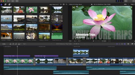 Final cut pro effects - filoclever