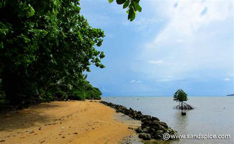 Karimunjawa Island Beaches & Snorkeling 🥽 Locations, Indonesia