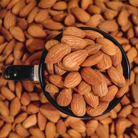 Whole Almond Nut at Rs 740/kg | Almond Nuts in Ghaziabad | ID ...