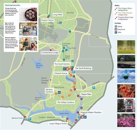 Windsor Great Park Cycle Map - Vanna Jannelle