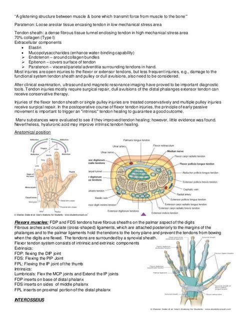 Tendon injury by dr yash