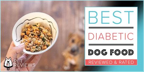 10 Best Diabetic Dog Food Brands (Non-Prescription) in 2024