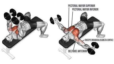 Full Chest Workout, Chest And Shoulder Workout, Dumbbell Chest Workout ...